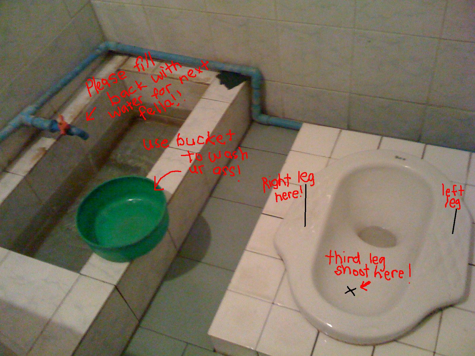 Difficult Experiences in Exotic Toilets around the World