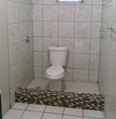 Toilet in the Shower