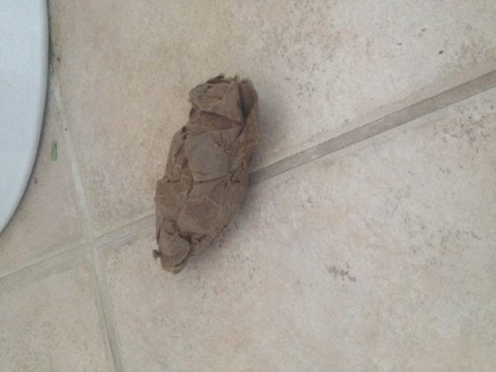 Toilet Tube Made into Fake Poo