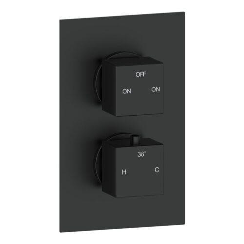 Jetta Thermostatic Two Outlet Twin Shower Valve - Matt Black